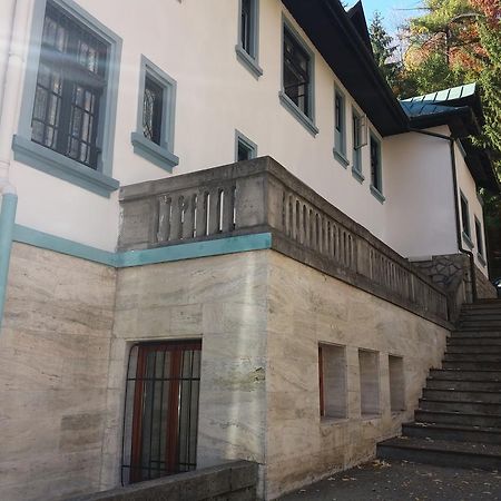 Hotel Tantzi Sinaia Ngoại thất bức ảnh