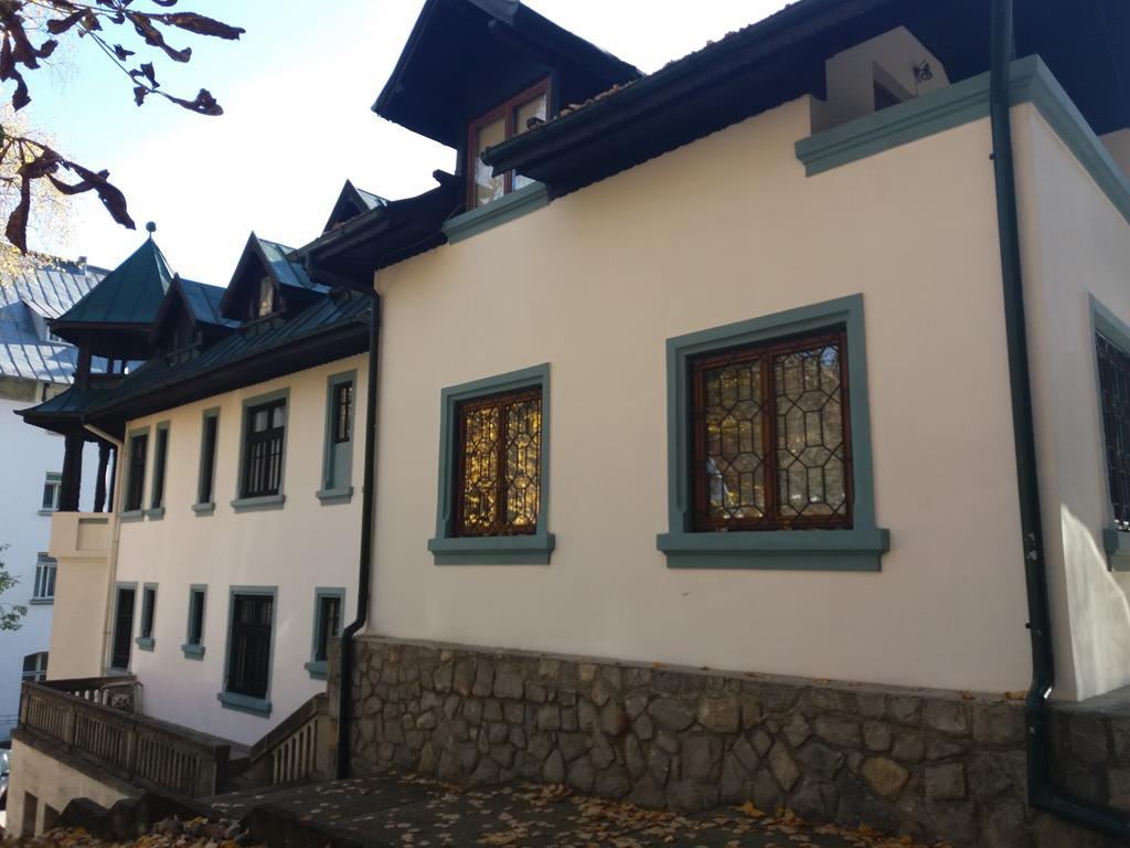 Hotel Tantzi Sinaia Ngoại thất bức ảnh