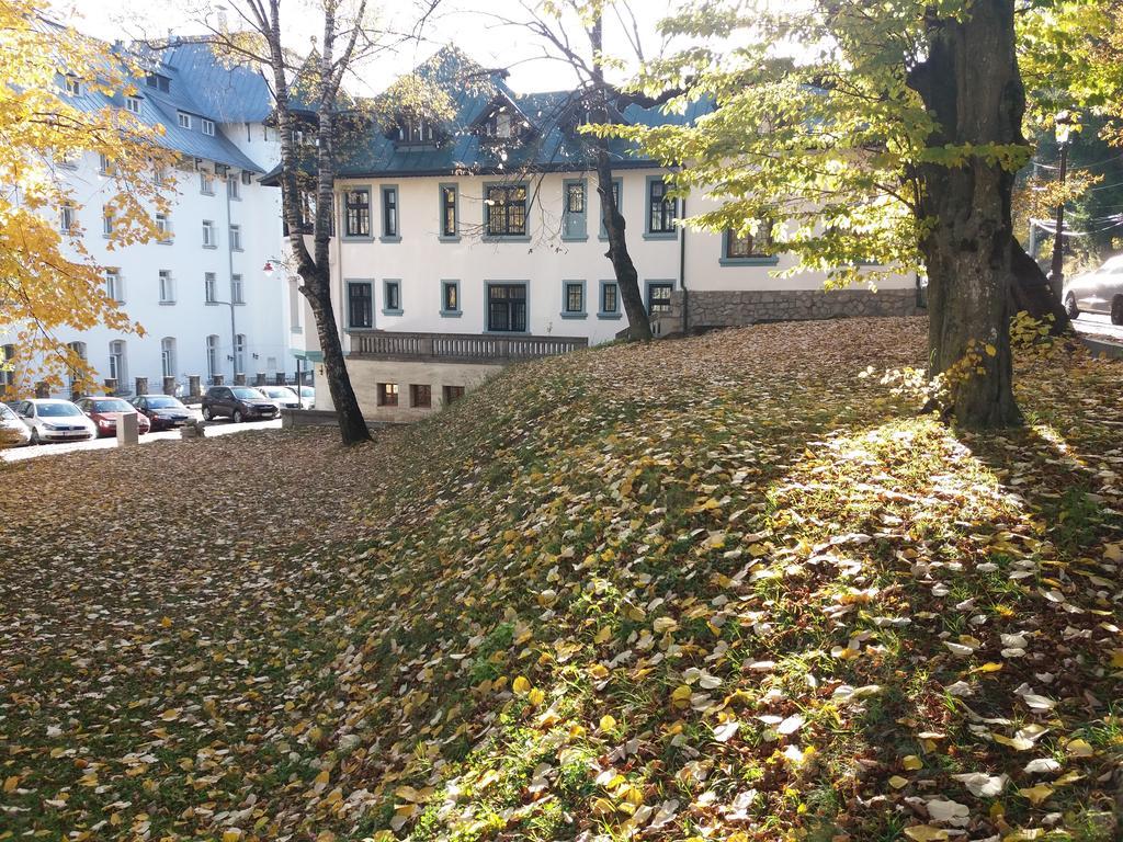 Hotel Tantzi Sinaia Ngoại thất bức ảnh