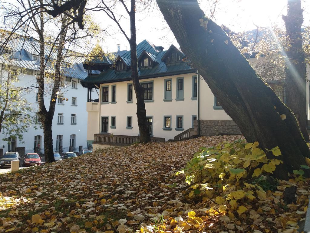 Hotel Tantzi Sinaia Ngoại thất bức ảnh